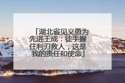 湖北省见义勇为先进王成：徒手握住利刃救人，这是我的责任和使命