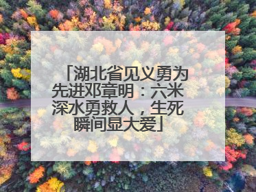 湖北省见义勇为先进邓章明：六米深水勇救人，生死瞬间显大爱
