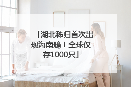 湖北秭归首次出现海南鳽！全球仅存1000只