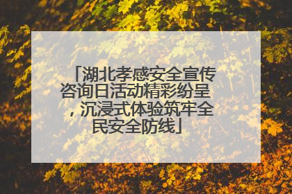 湖北孝感安全宣传咨询日活动精彩纷呈，沉浸式体验筑牢全民安全防线