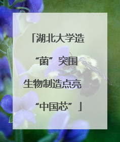 湖北大学造“菌”突围 生物制造点亮“中国芯”