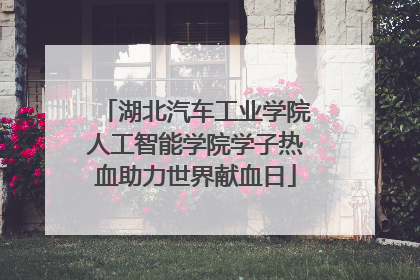 湖北汽车工业学院人工智能学院学子热血助力世界献血日