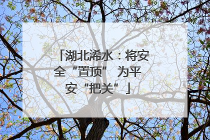 湖北浠水：将安全“置顶” 为平安“把关”