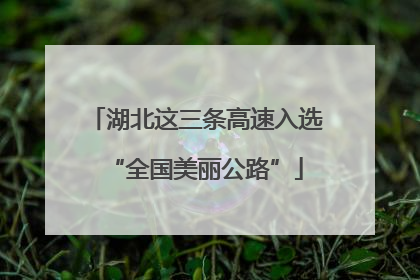 湖北这三条高速入选“全国美丽公路”