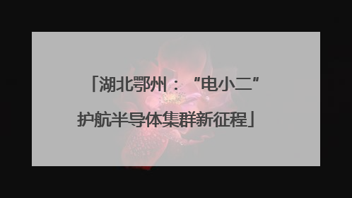 湖北鄂州：“电小二”护航半导体集群新征程