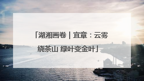 湖湘画卷｜宜章：云雾绕茶山 绿叶变金叶