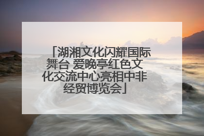 湖湘文化闪耀国际舞台 爱晚亭红色文化交流中心亮相中非经贸博览会
