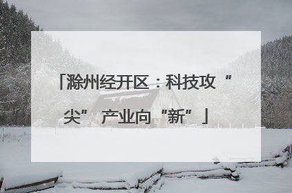 滁州经开区：科技攻“尖” 产业向“新”