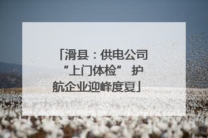 滑县：供电公司“上门体检” 护航企业迎峰度夏