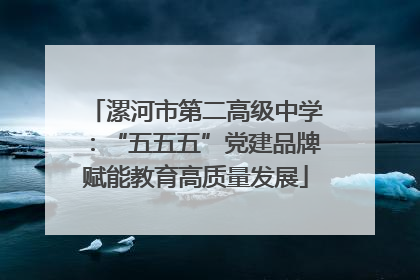 漯河市第二高级中学：“五五五”党建品牌赋能教育高质量发展