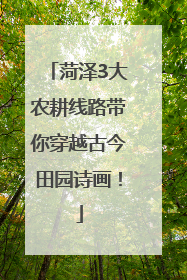 菏泽3大农耕线路带你穿越古今田园诗画！