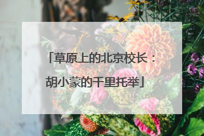 草原上的北京校长：胡小蒙的千里托举