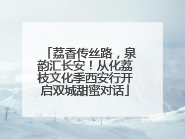 荔香传丝路，泉韵汇长安！从化荔枝文化季西安行开启双城甜蜜对话