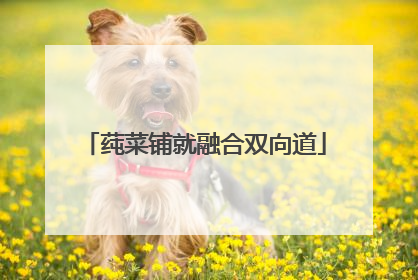 莼菜铺就融合双向道