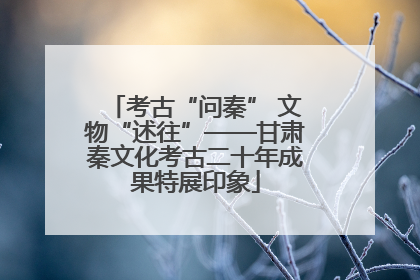 考古“问秦” 文物“述往”——甘肃秦文化考古二十年成果特展印象