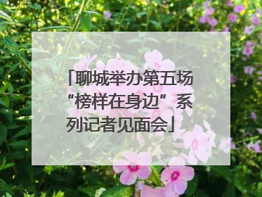 聊城举办第五场“榜样在身边”系列记者见面会