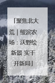 聚焦北大荒｜绥滨农场：沃野绘新景 实干开新局