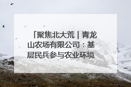 聚焦北大荒｜青龙山农场有限公司：基层民兵参与农业环境综合治理显效