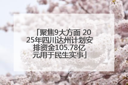 聚焦9大方面 2025年四川达州计划安排资金105.78亿元用于民生实事
