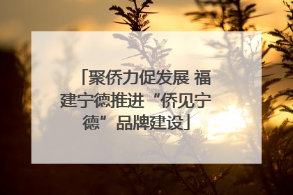 聚侨力促发展 福建宁德推进“侨见宁德”品牌建设