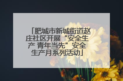 肥城市新城街道赵庄社区开展“安全生产 青年当先”安全生产月系列活动