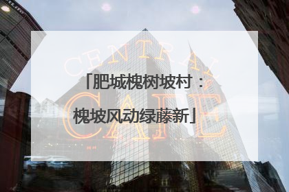 肥城槐树坡村：槐坡风动绿藤新