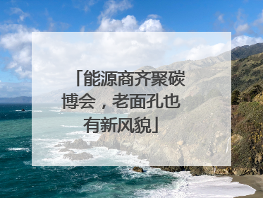 能源商齐聚碳博会，老面孔也有新风貌
