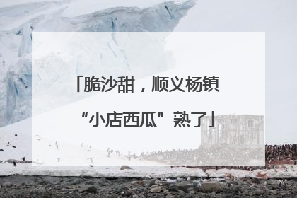 脆沙甜，顺义杨镇“小店西瓜”熟了
