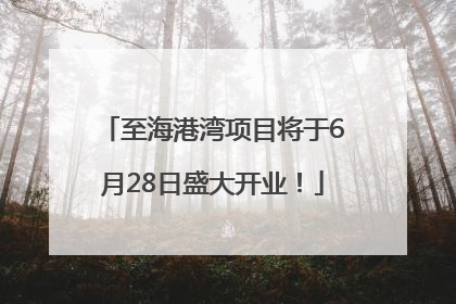 至海港湾项目将于6月28日盛大开业！