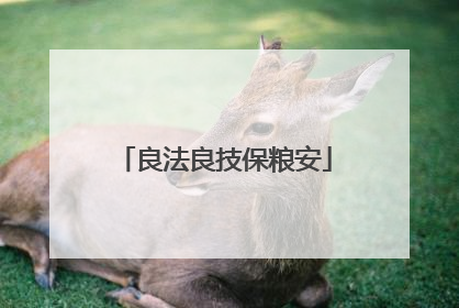 良法良技保粮安
