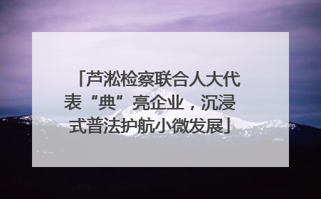 芦淞检察联合人大代表“典”亮企业，沉浸式普法护航小微发展