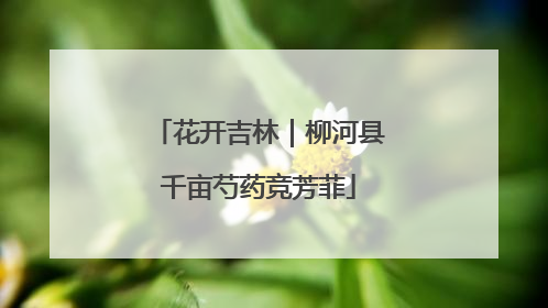 花开吉林｜柳河县千亩芍药竞芳菲