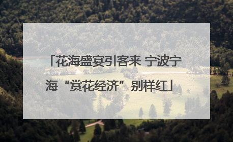 花海盛宴引客来 宁波宁海“赏花经济”别样红
