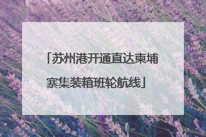 苏州港开通直达柬埔寨集装箱班轮航线