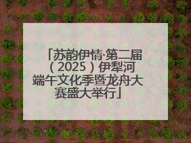 苏韵伊情·第二届（2025）伊犁河端午文化季暨龙舟大赛盛大举行