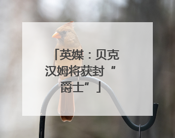 英媒：贝克汉姆将获封“爵士”