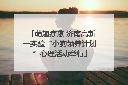 萌趣疗愈 济南高新一实验“小狗领养计划”心理活动举行