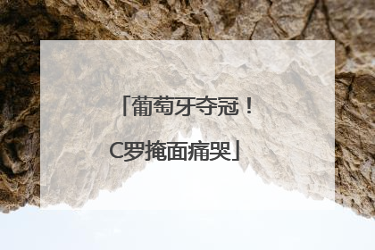 葡萄牙夺冠！C罗掩面痛哭