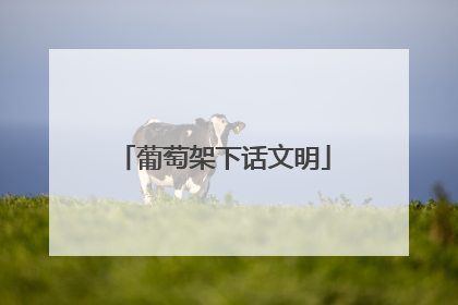 葡萄架下话文明