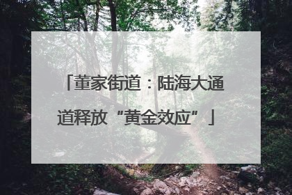 董家街道：陆海大通道释放“黄金效应”