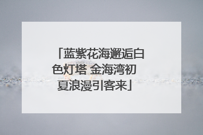 蓝紫花海邂逅白色灯塔 金海湾初夏浪漫引客来