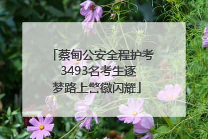 蔡甸公安全程护考 3493名考生逐梦路上警徽闪耀