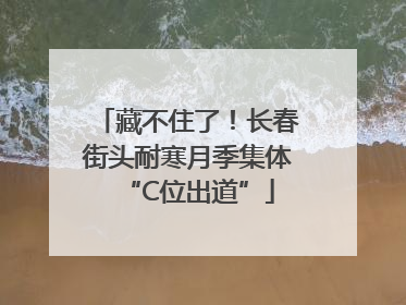 藏不住了！长春街头耐寒月季集体“C位出道”