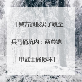 警方通报男子跳至兵马俑坑内：两尊铠甲武士俑损坏