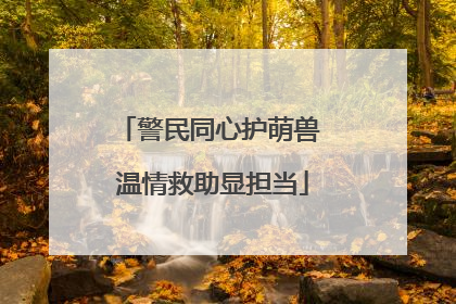 警民同心护萌兽 温情救助显担当