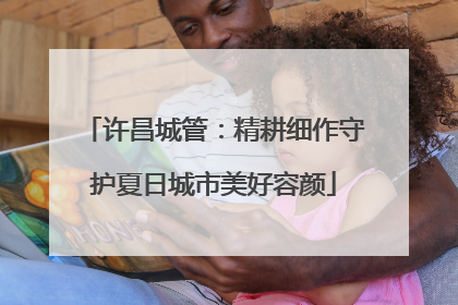 许昌城管：精耕细作守护夏日城市美好容颜