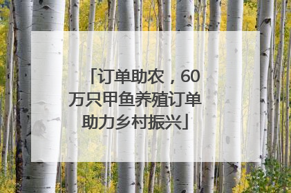 订单助农，60万只甲鱼养殖订单助力乡村振兴
