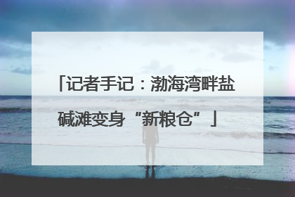 记者手记：渤海湾畔盐碱滩变身“新粮仓”