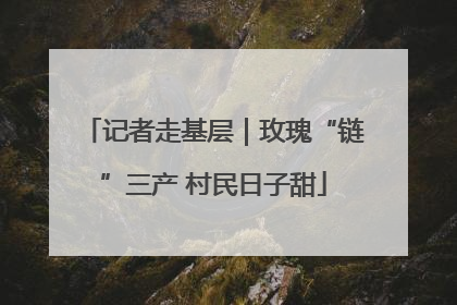 记者走基层｜玫瑰“链”三产 村民日子甜