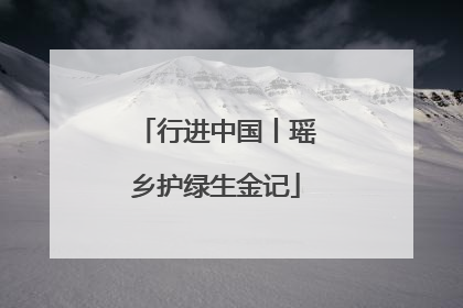 行进中国丨瑶乡护绿生金记